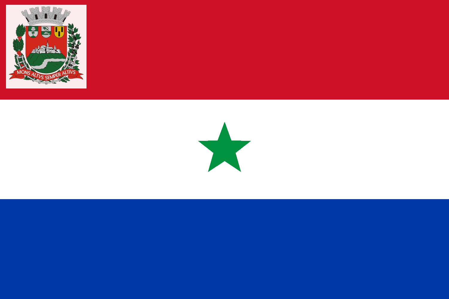 Bandeira do Município de Monte Alto